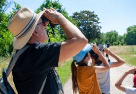 Accompagnés de la Ligue de Protection des Oiseaux (LPO), c’était l’occasion de découvrir en direct les oiseaux peuplant le parc.